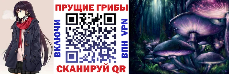 Галлюциногенные грибы мицелий Сосновоборск